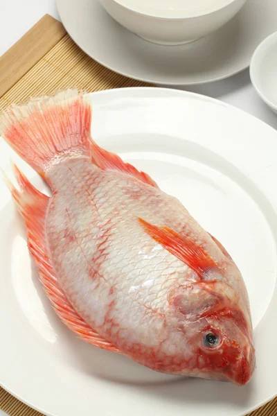 Red snapper — Stock Photo, Image