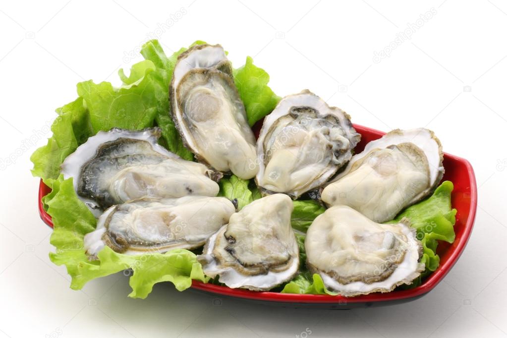 Raw opened oysters