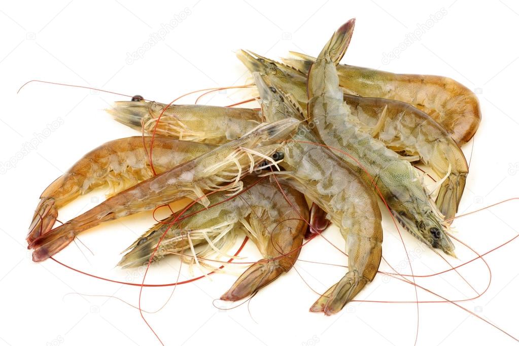 Boiled shrimps