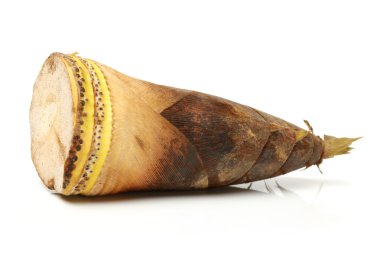 Bambu sürgün
