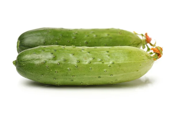 绿色黄瓜 — 图库照片