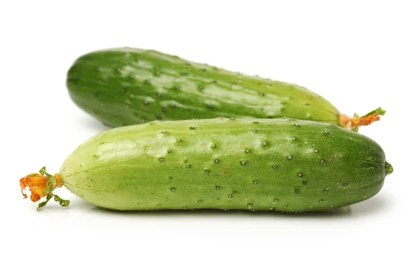 Groene komkommers — Stockfoto