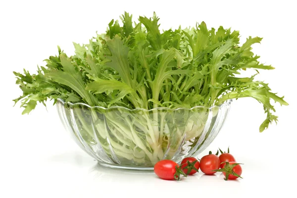 Sonchus salad with tomatoes — Stock Photo, Image