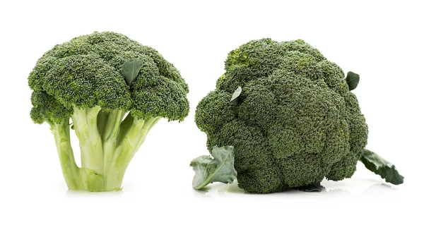 Broccoli vegetable — Stock Photo, Image