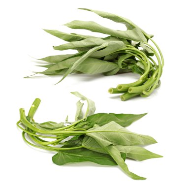 su ıspanak