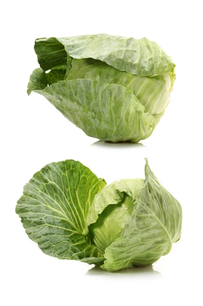 Fresh cabbage — Stock Photo, Image