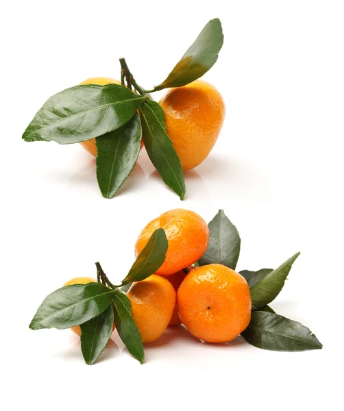Mandarines oranges — Photo