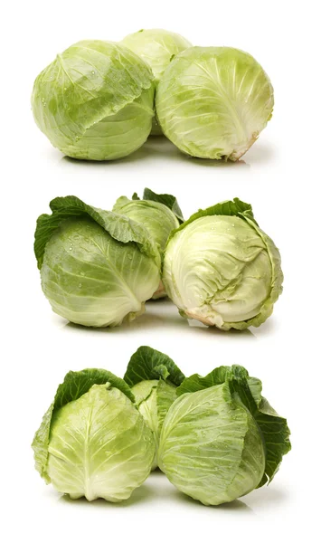 Fresh cabbage — Stock Photo, Image