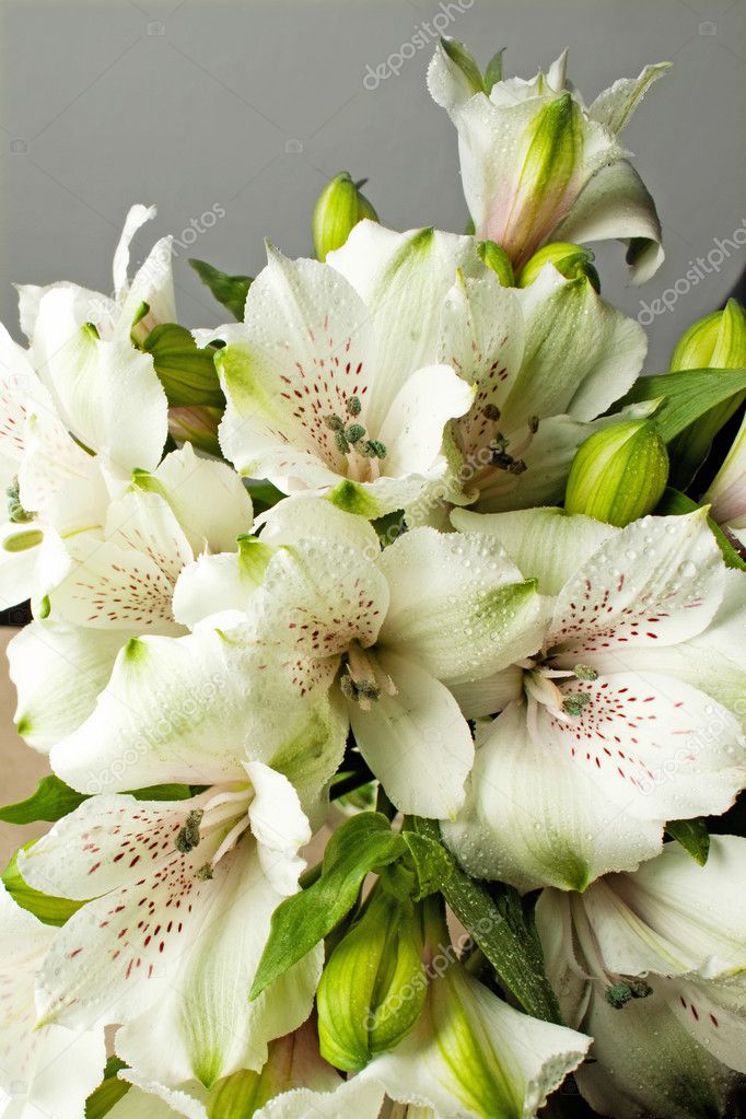 Tender bouquet of white Easter