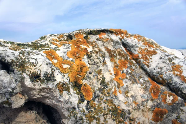The old moss red on a large stone against the sky — Stock Photo, Image