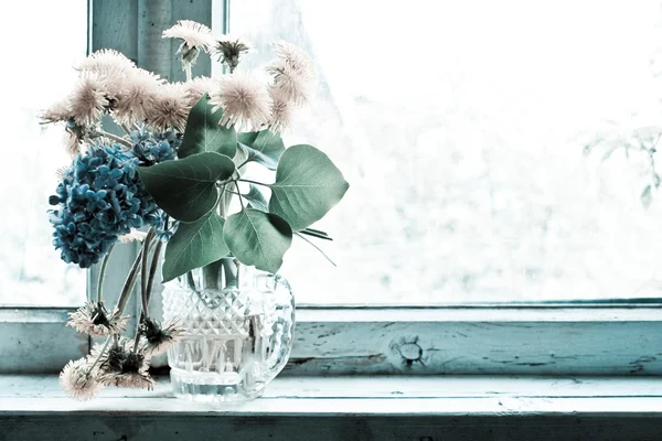 Fleurs sur le rebord de la fenêtre — Photo