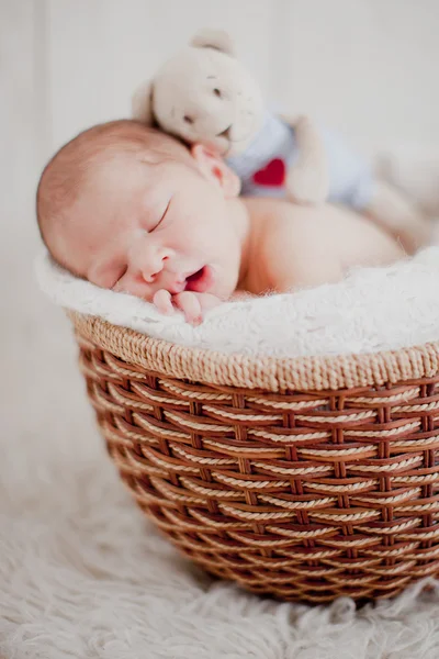 Şirin Bebek sepet içinde. Stok Fotoğraf