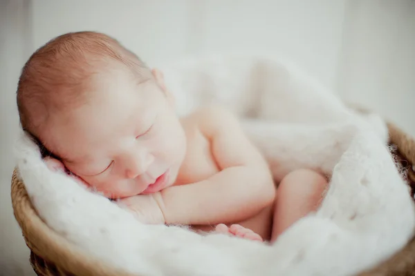 Nyfött barn sover i korg Stockbild