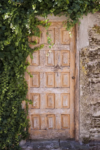 Alte Holztür — Stockfoto