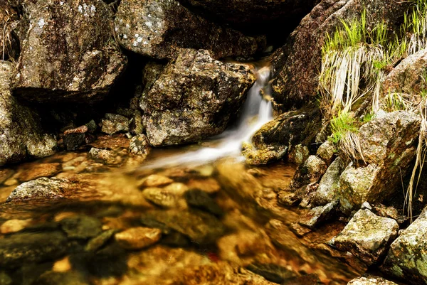 Heskestad — Stok fotoğraf