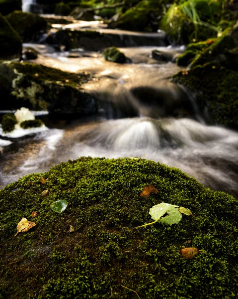 Dalsnuten — Stok fotoğraf