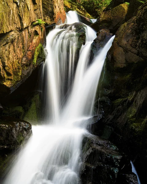 Helleren Ordförande — Stockfoto