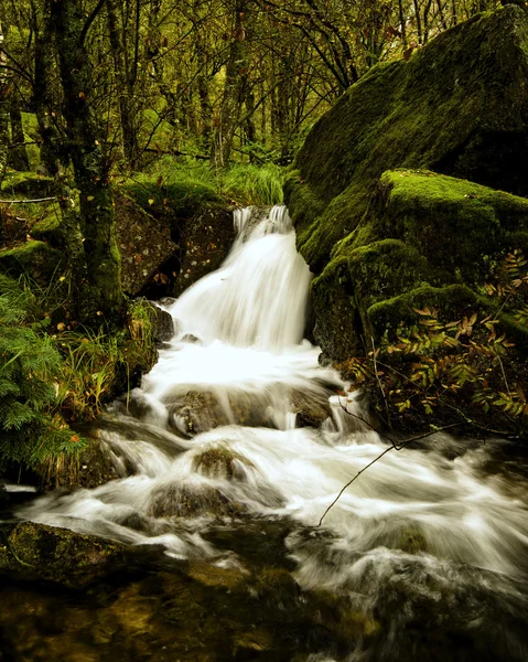 Helleren. — Foto de Stock