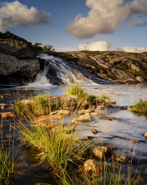 Olmaolene — Foto Stock