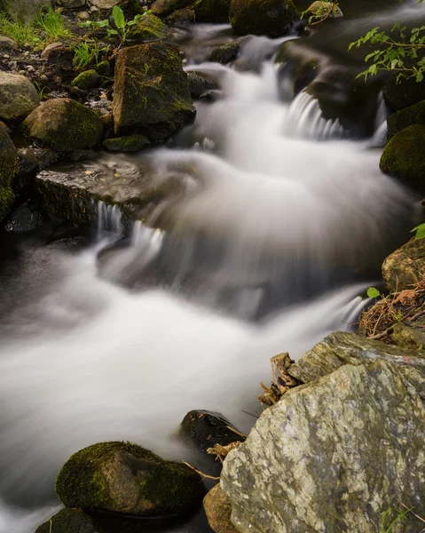 Møllebukta — Stok fotoğraf