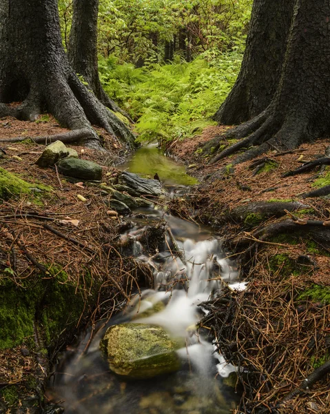 Sormarka — Stockfoto