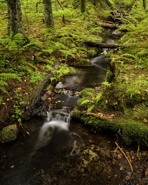 Sormarka — Stockfoto