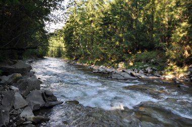 vahşi dağ Nehri