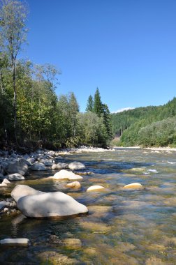 vahşi dağ Nehri