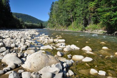 vahşi dağ Nehri