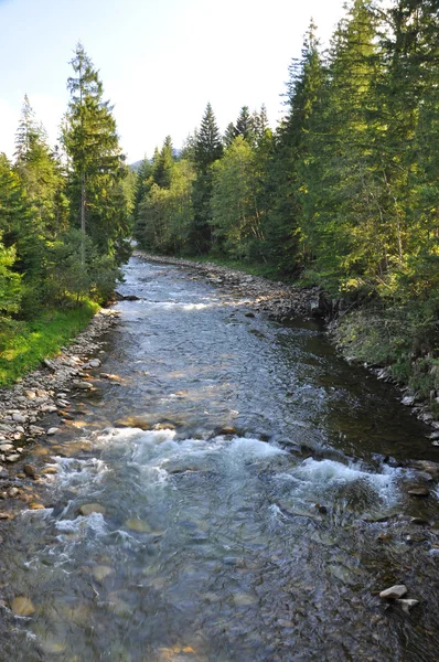 vahşi dağ Nehri