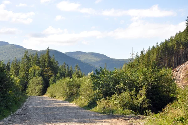 Strada di montagna — Foto Stock