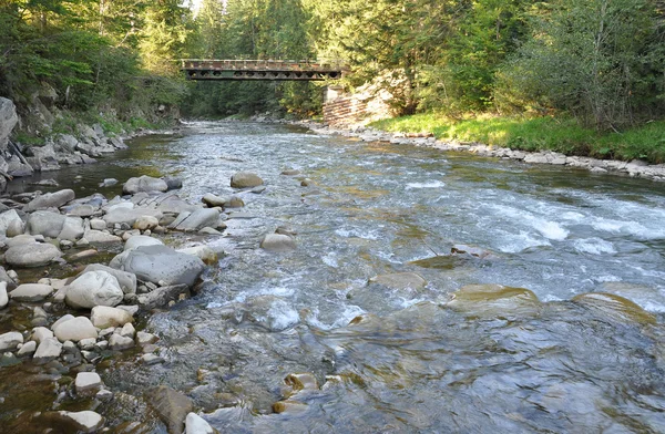 Wild mountain river — Stock Photo, Image