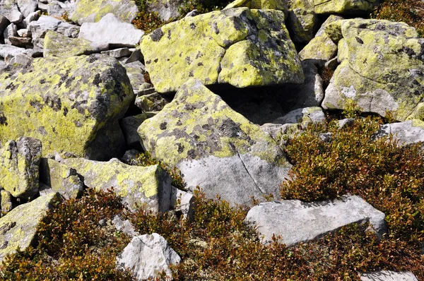 Piedras — Foto de Stock