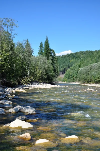 Wild mountain river — Stock Photo, Image