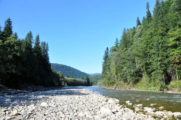 Wild mountain river — Stock Photo, Image