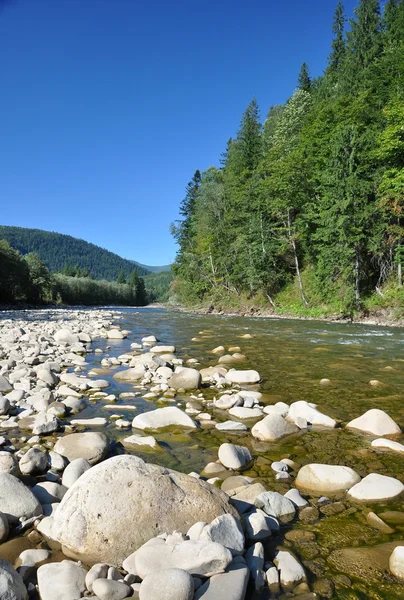 Wild mountain river — Stock Photo, Image