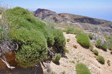 Las canadas del teide aralığı