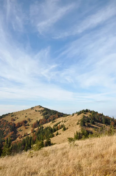 Montagne in autunno — Foto Stock