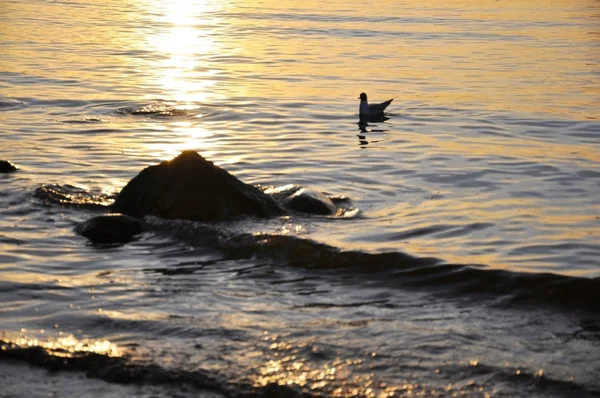 Ostsee — Stockfoto