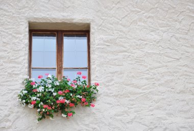 Pencere ve çiçekler