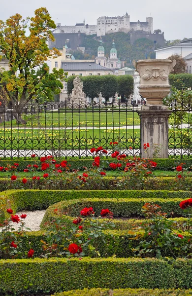 Salzburg — Stok fotoğraf