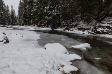 Kışın Svicha Nehri, Ukrayna 'nın Karpat Dağları