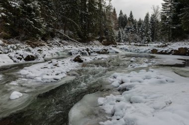 Kışın Svicha Nehri, Ukrayna 'nın Karpat Dağları