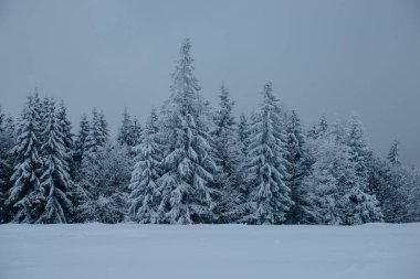 Karpat dağlarında kış, Ukrayna