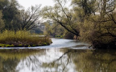 Dniester nehri ilkbaharın başlarında, Ukrayna