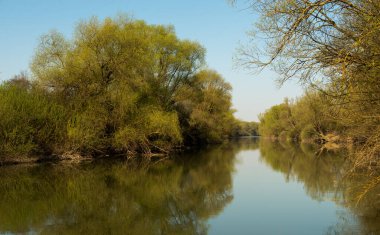 Dniester nehri ilkbaharın başlarında, Ukrayna
