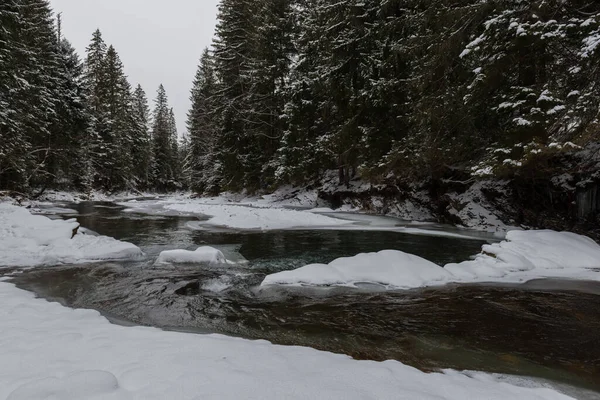 Svicha River Winter Carpathian Mountains Ukraine — Stock Photo, Image