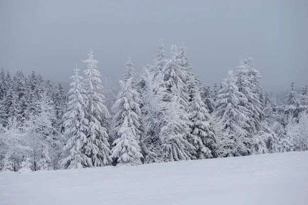 Winter Carpathian Mountains Ukraine — Stock Photo, Image