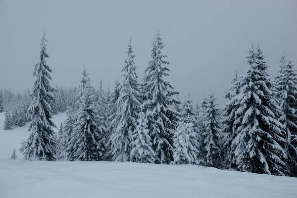 Inverno Nas Montanhas Dos Cárpatos Ucrânia — Fotografia de Stock