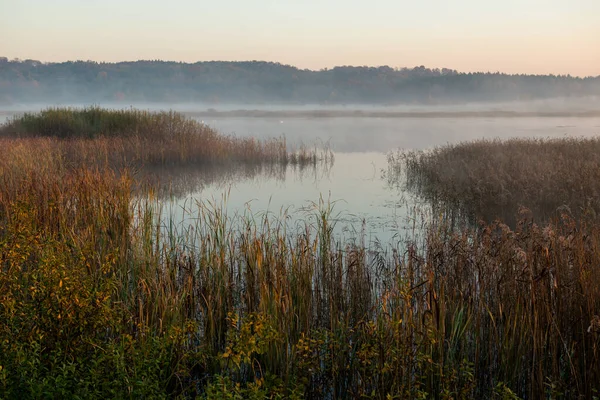 Autumn Landscape Misty Early Morning Ukraine — Stock Photo, Image